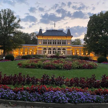 Fewo Roland Ranft Direkt Am Kurpark Barrierearm 60Qm Bad Elster Exteriör bild