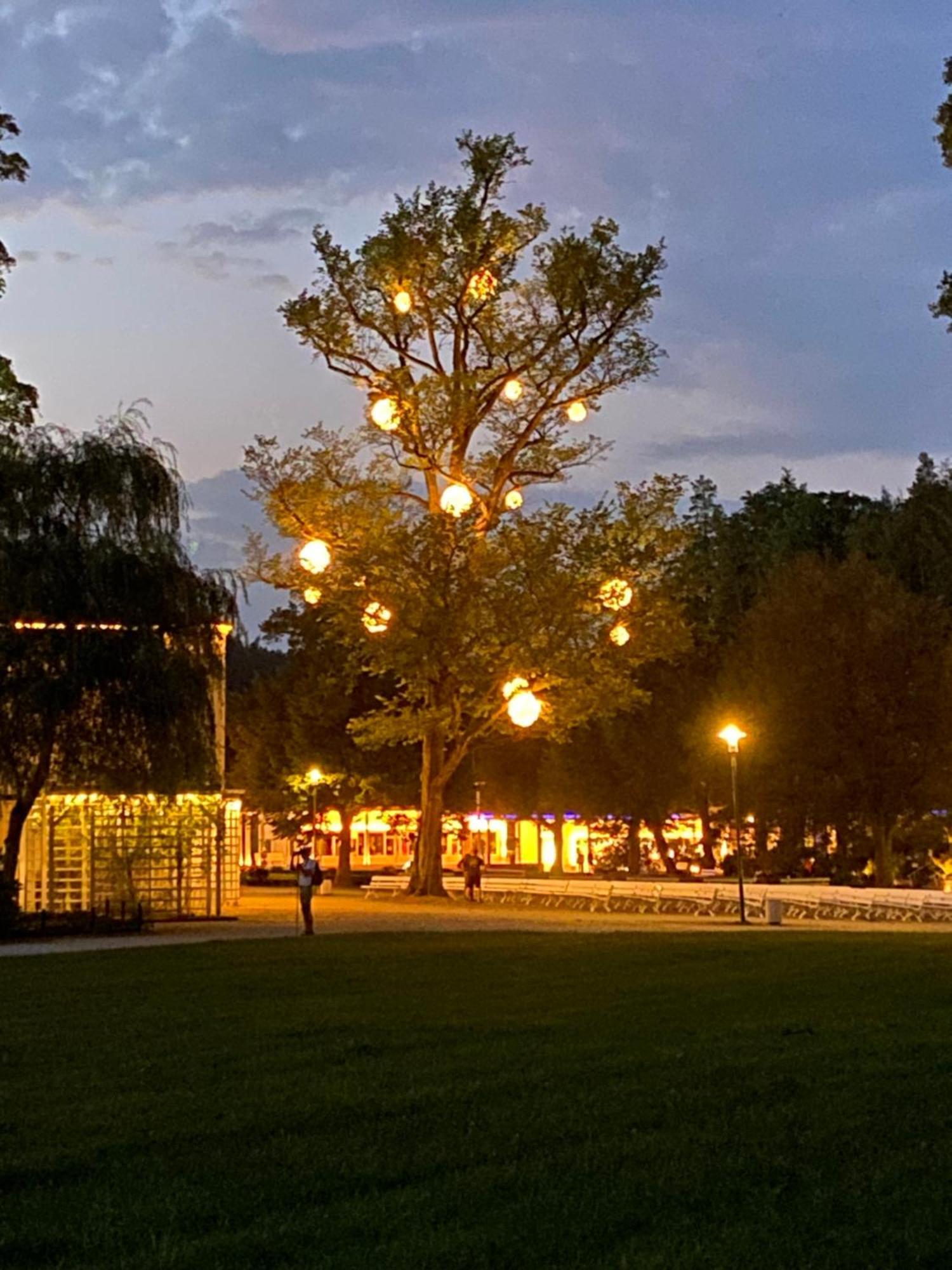 Fewo Roland Ranft Direkt Am Kurpark Barrierearm 60Qm Bad Elster Exteriör bild