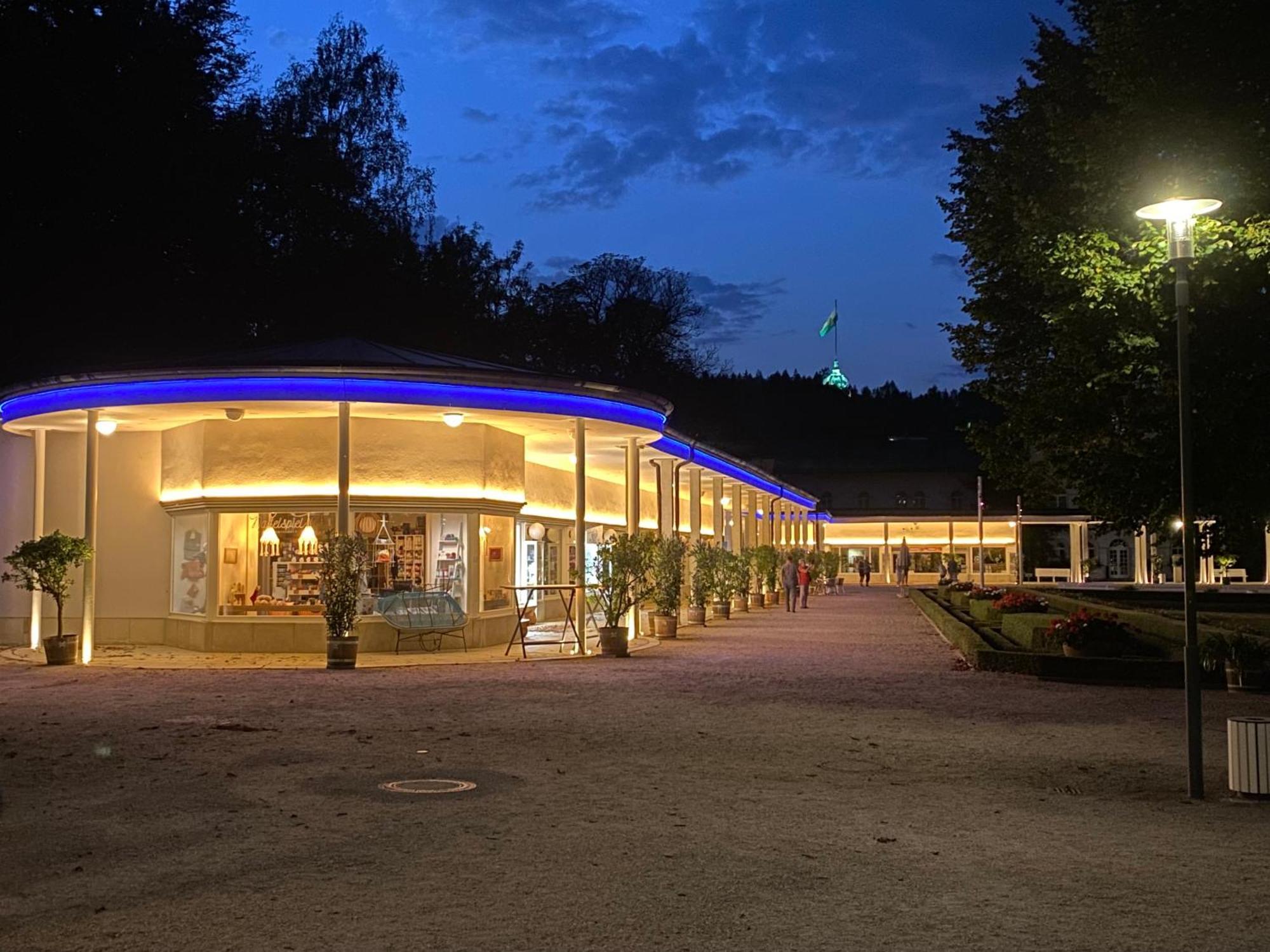 Fewo Roland Ranft Direkt Am Kurpark Barrierearm 60Qm Bad Elster Exteriör bild